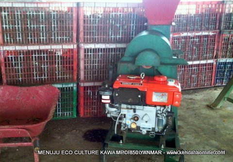 MPO 850 Yanmar (1)